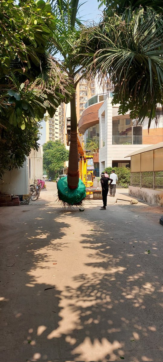 VishalAbrol7's tweet photo. @noida_authority @NGTribunal @dmgbnagar @noidapolice @volunteers7x
#SpectrumMetro mall builder has forcefully uprooted two full grown trees from society campus to beautify his mall
नोएडा में क्या कोई action लेगा बिल्डर के खिलाफ ?
#जनता की कौन सुनेगा @myogiadityanath
#जनसुनवाई https://t.co/RwE7TeySvp