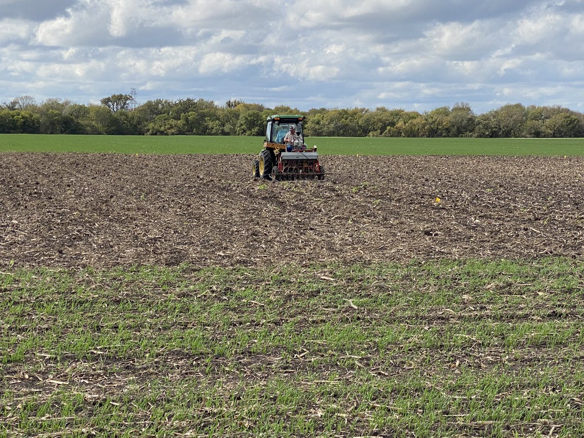 It’s a nice fall day to get out of the office and plant some wheat plots. #TXAgrixulture #CentralTexas #AutumnFalls #research #extension
