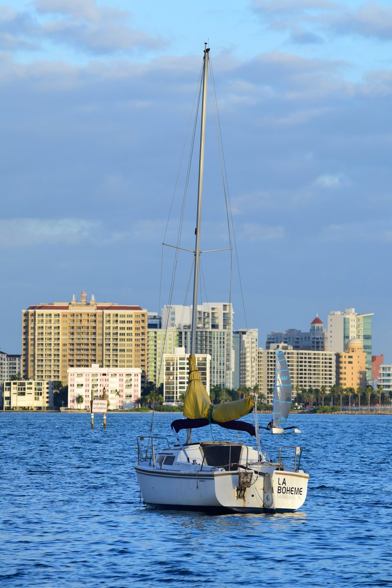 williamstalwart's tweet photo. Viva la vie Boheme!

#sarasota #sarasotabay #sarasotaflorida #kenthompsonpark #sailboat #cityscape #nikon #nikonphotography #Nikond3300 https://t.co/6EAIqSy2SS