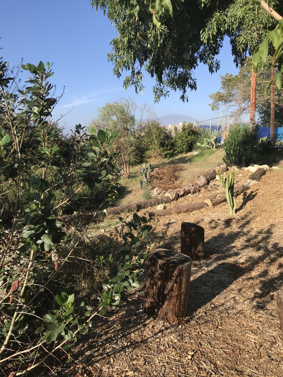 ECoUrbanGardens tweet media