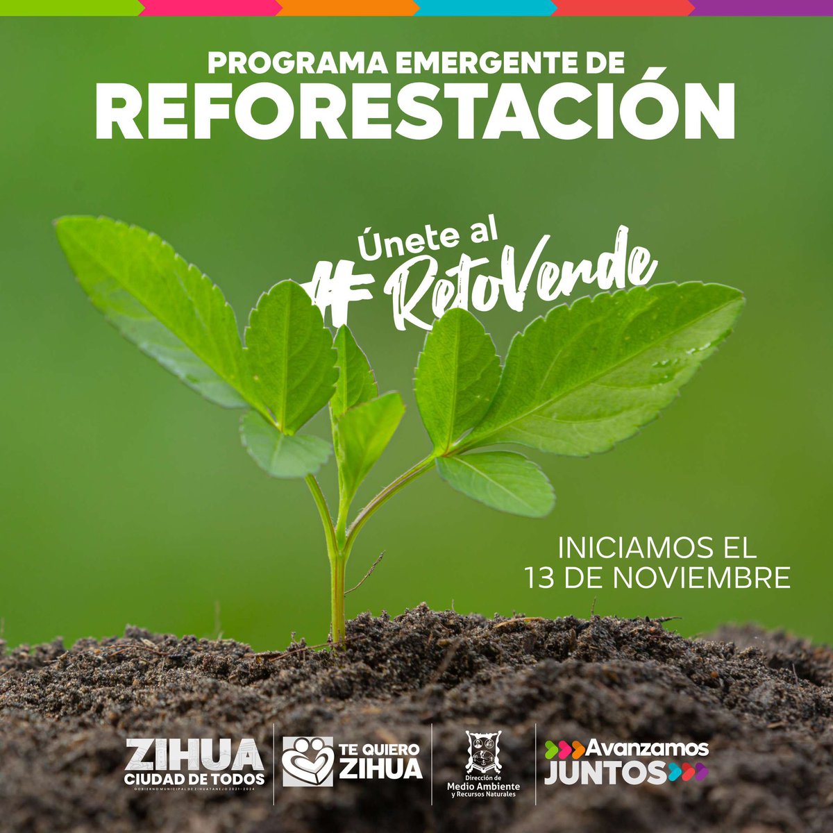 Gob_Zihuatanejo's tweet photo. Con el programa Emergente de Reforestación buscamos recuperar los 1000 árboles que recientemente derribó el Huracán Rick, siendo uno de los compromisos de este gobierno el cuidado del medio ambiente. #TeQuieroZihua
#AvanzamosJuntos https://t.co/oeuPqfZ0Zl
