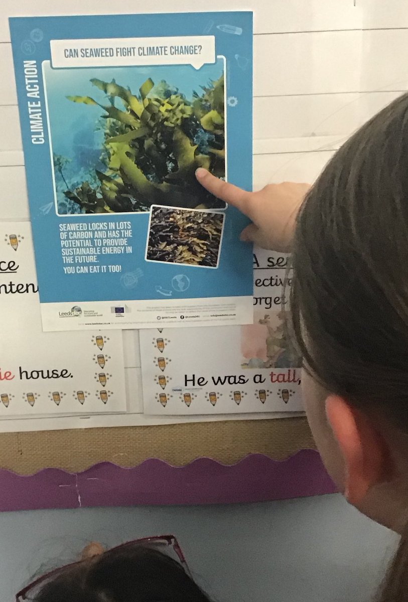 Leeds DEC tweet media