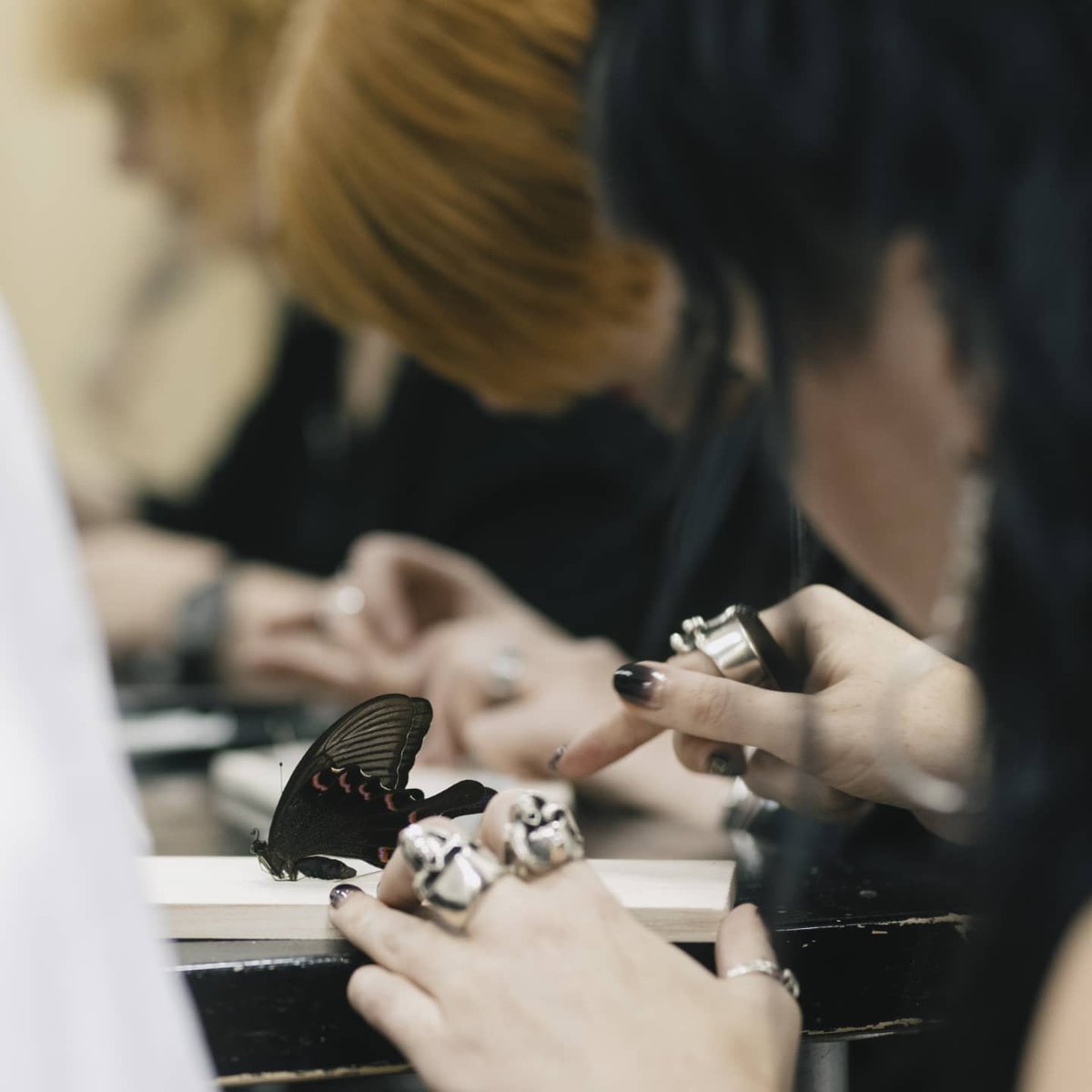 MOTHstudios's tweet image. Only 3 tickets left to our festive workshop!🎄Link to tickets 👉bit.ly/3qrsIgX
@altweet_pet
#NE1 #aliveafter5 #northeast #eventsnortheast