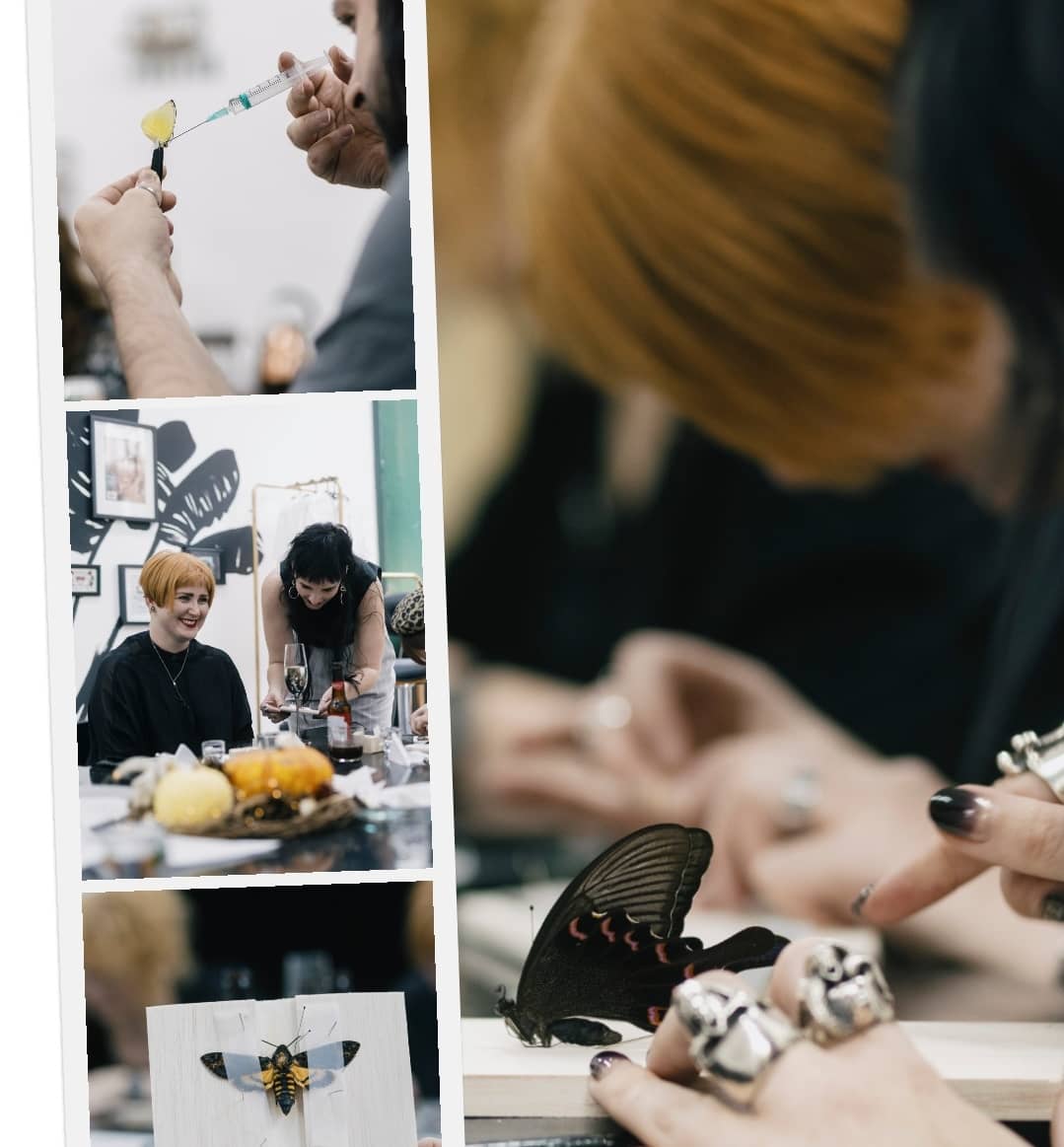 MOTHstudios's tweet image. Only 3 tickets left to our festive workshop!🎄Link to tickets 👉bit.ly/3qrsIgX
@altweet_pet
#NE1 #aliveafter5 #northeast #eventsnortheast