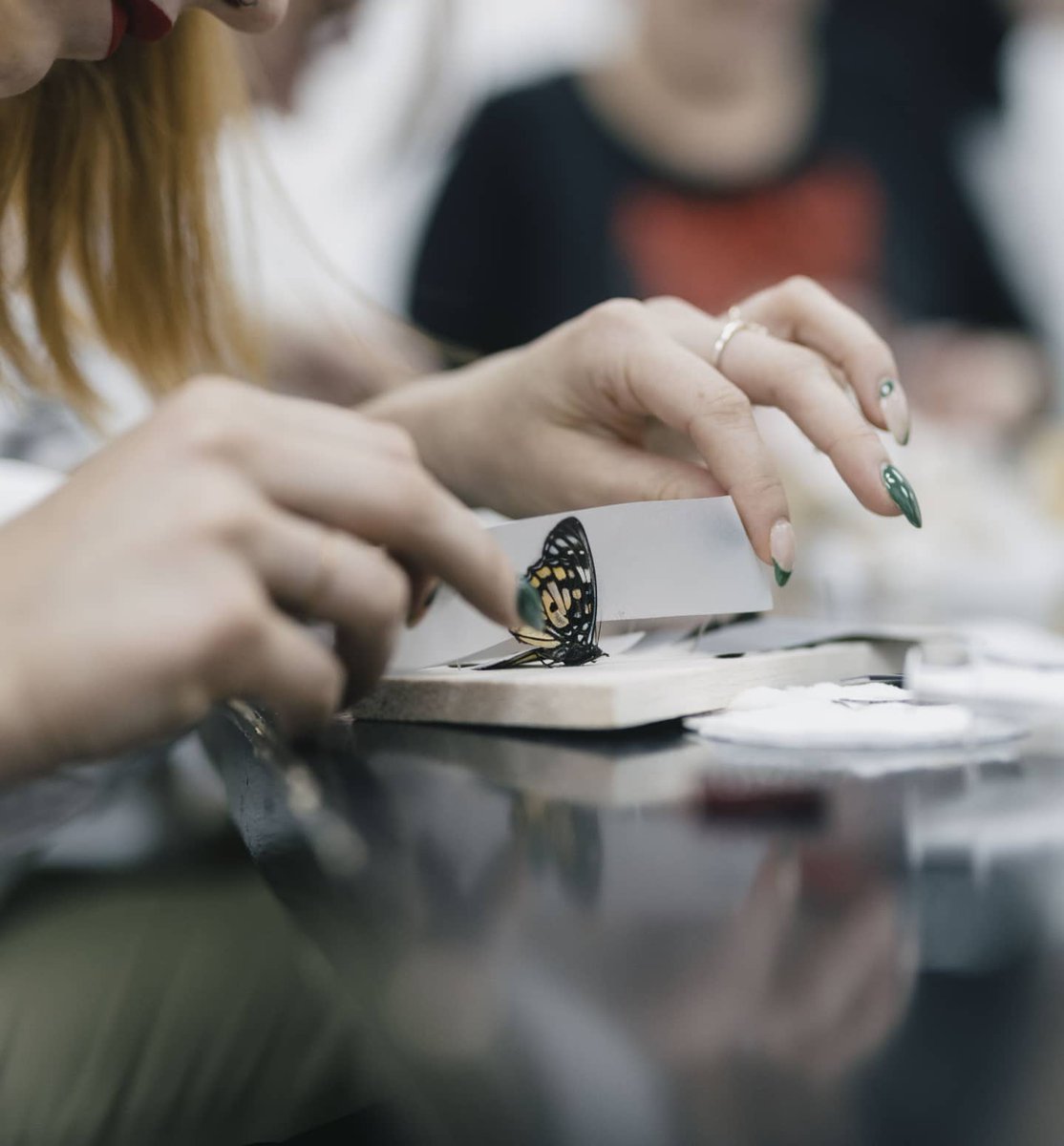 MOTHstudios's tweet image. Only 3 tickets left to our festive workshop!🎄Link to tickets 👉bit.ly/3qrsIgX
@altweet_pet
#NE1 #aliveafter5 #northeast #eventsnortheast