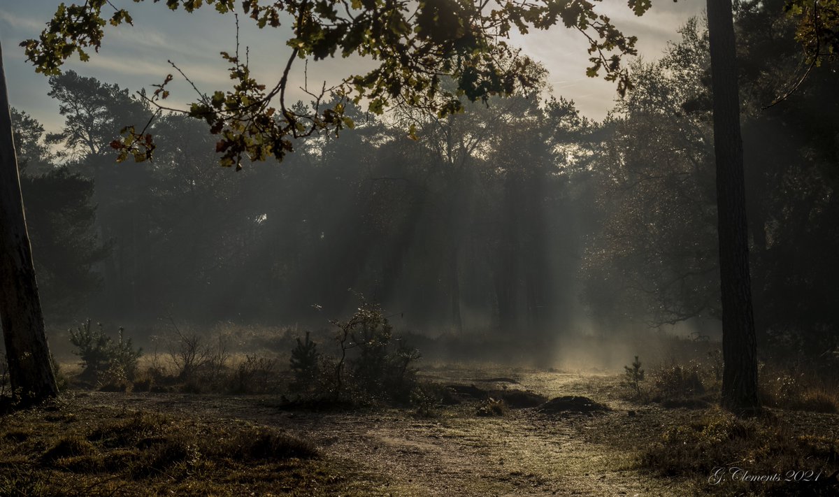 Gijs Clements tweet media