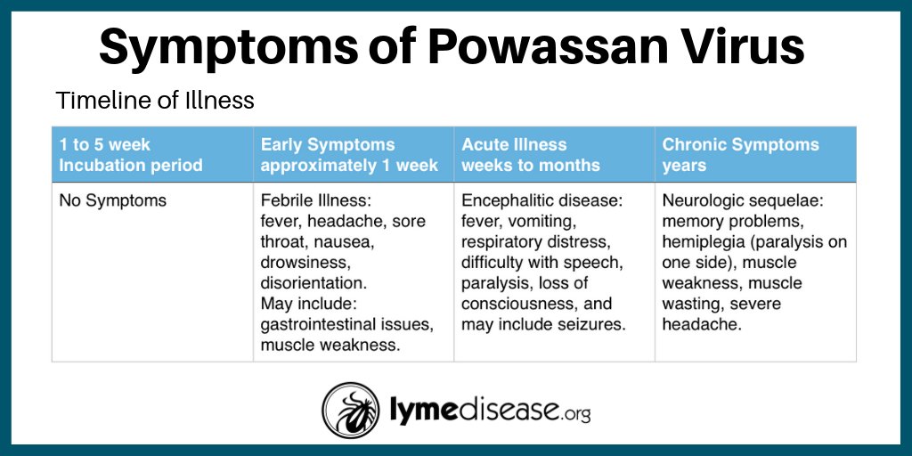 Lymenews's tweet photo. Tick-borne Powassan virus (POWV) can be transmitted in as little as 15 minutes. The symptoms of #POWV develop anywhere from 8-34 days after the tick bite. The initial symptoms are flu-like with a fever. Nearly 10% of cases are fatal. https://t.co/y3XKijRtQg https://t.co/TsPz57MAhp