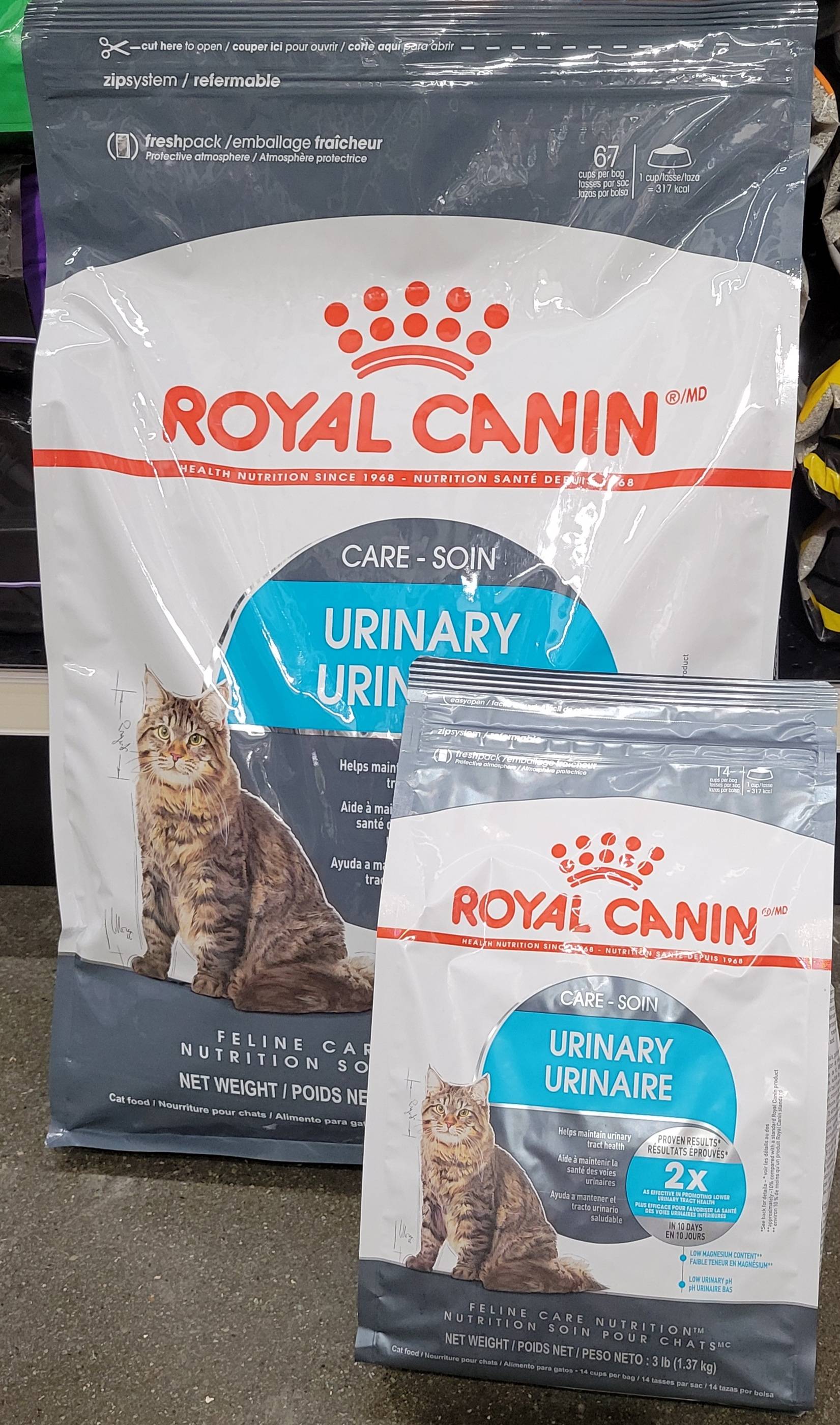 hervorming Telegraaf Aquarium jtpetsca on Twitter: "We now carry Royal Canin Urinary Dry Cat Food.  https://t.co/ZjrK68Tf4K" / Twitter