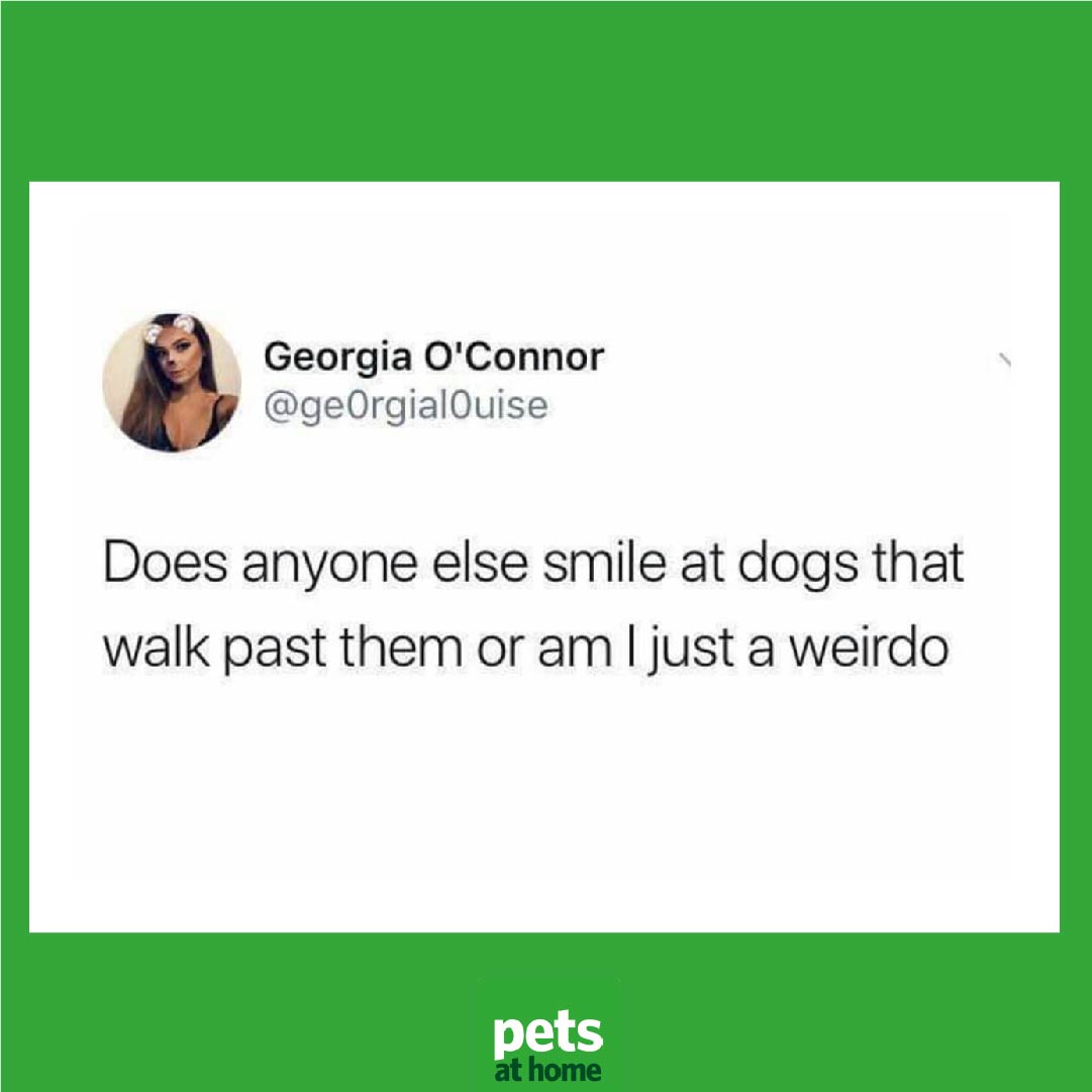 We can confirm this is a completely normal thing to do
