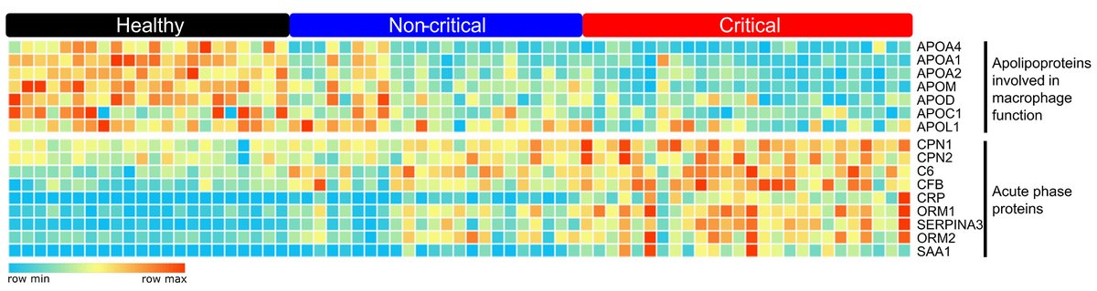 ScienceMagazine's tweet photo. Why do some young, healthy individuals still develop critical #COVID19? 

A new machine learning and multi-omics study in @ScienceTM links severe outcomes in young patients with no comorbidities to a distinct ADAM9 #genetic signature. https://t.co/i8H9FfQks5 https://t.co/BCvls1v6aq