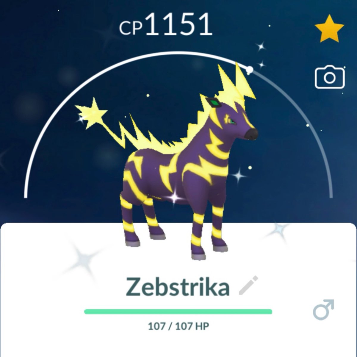 copytonic's tweet photo. ✨🦓 Shiny Zebstrika! 🦓✨ That was a tough one. https://t.co/BMu8i46Dme