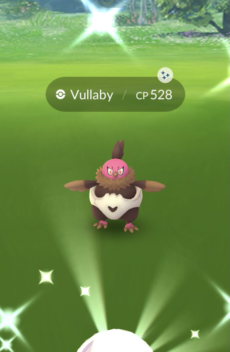 copytonic's tweet photo. ✨🦃 Shiny Vullaby and Mandibuzz 🦃✨ Finally caught the shiny turkey! https://t.co/tDP9MxByxI