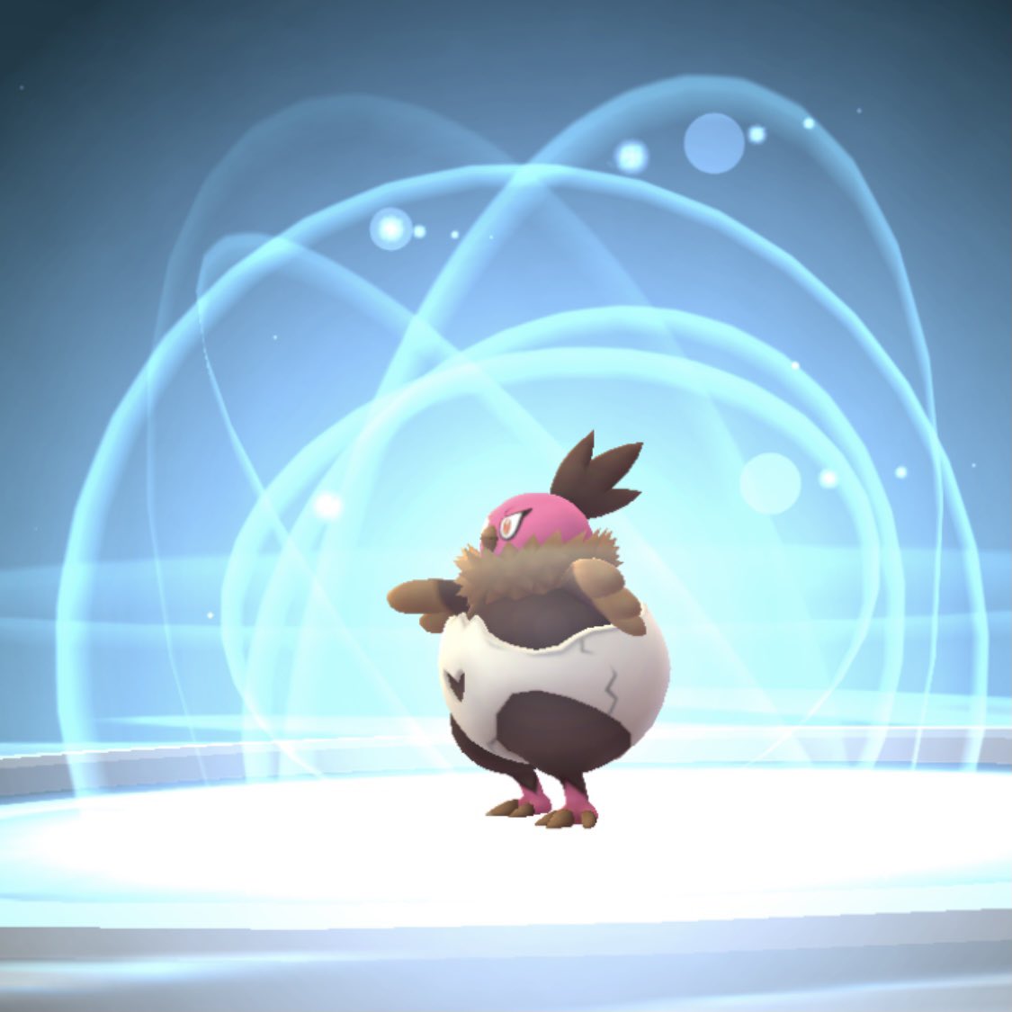 copytonic's tweet photo. ✨🦃 Shiny Vullaby and Mandibuzz 🦃✨ Finally caught the shiny turkey! https://t.co/tDP9MxByxI