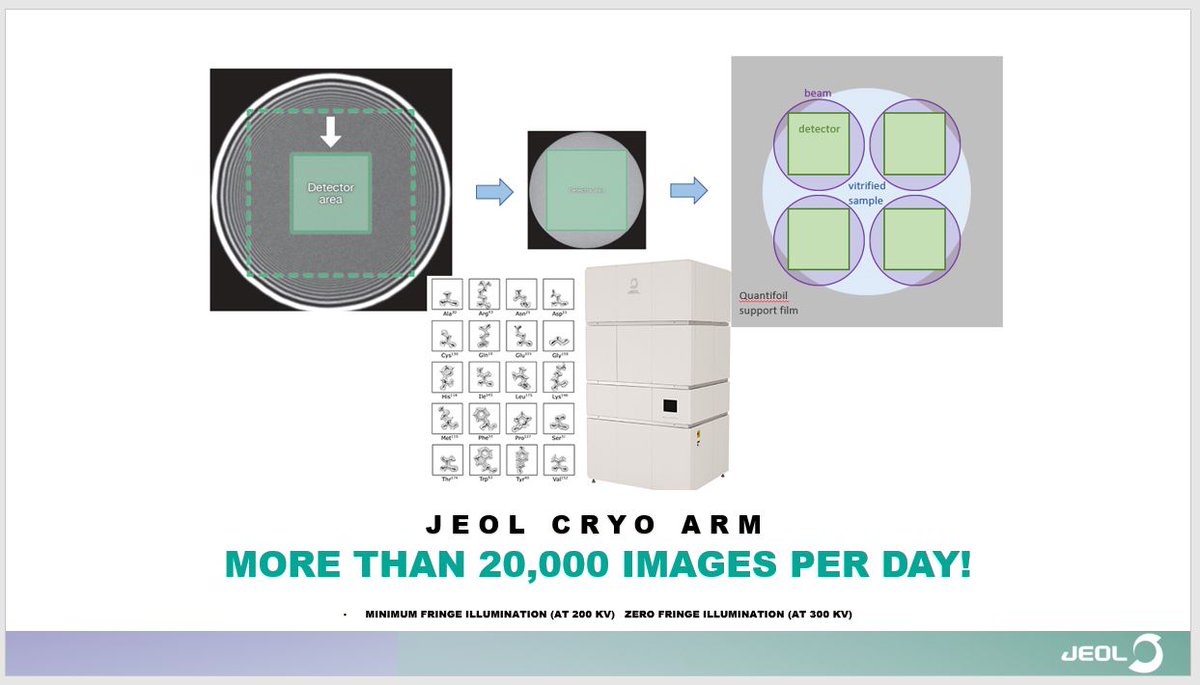 JEOLUSA's tweet image. With JEOL CRYO ARM you can increase throughput to more than 20,000 images/day. Solve multiple structures using a narrow, parallel beam tailored to the FOV of the camera without fringes at the edge. #CRYOEM #Microscopy #SingleParticleAnalysis bit.ly/3ksdchj