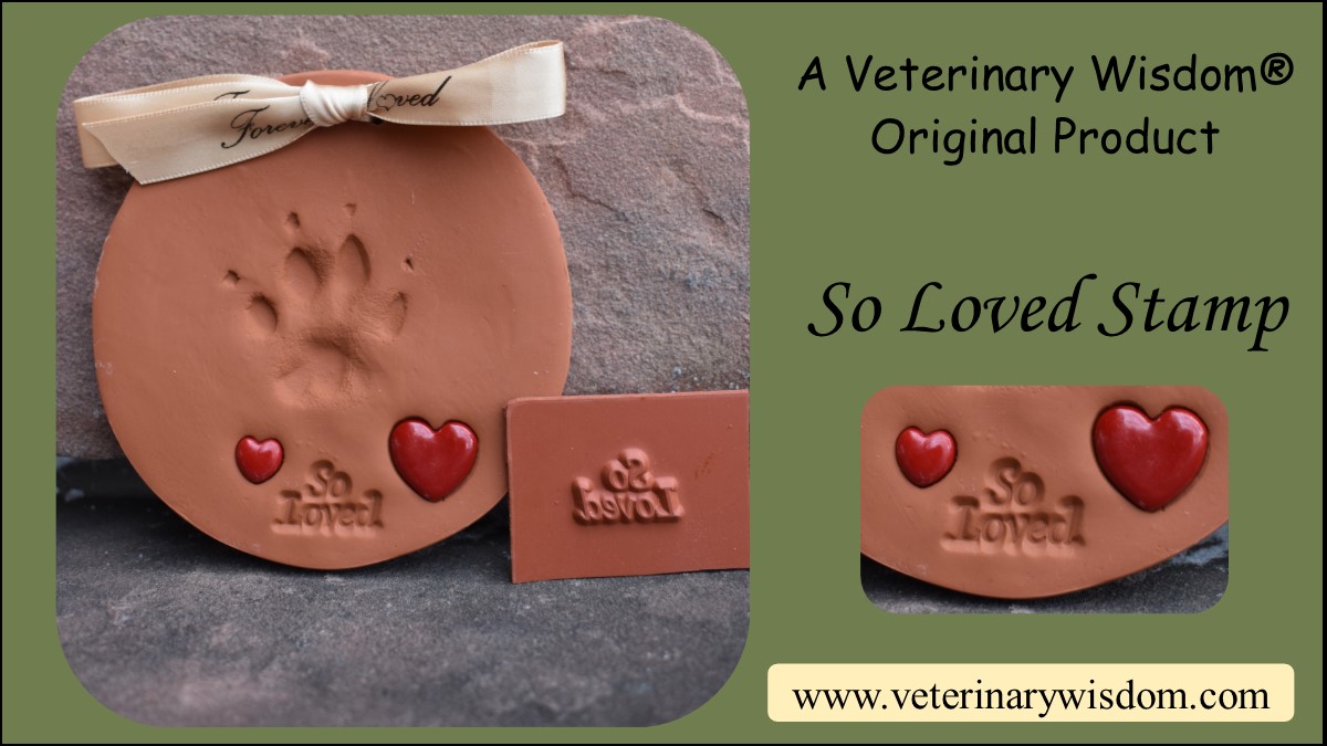 Stamp Kits - Veterinary Wisdom