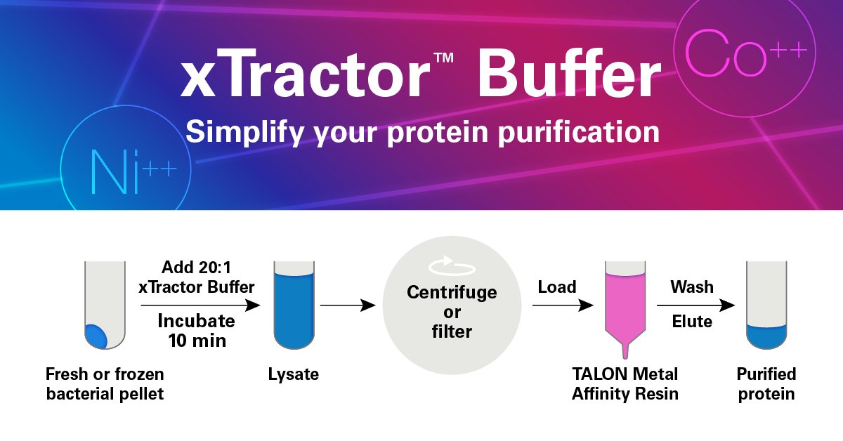 TakaraBioUSA's tweet photo. Preserve the biological activity of your #recombinantproteins.
The xTractor™ Buffer gives you higher protein yields with gentle, non-denaturing extraction for any affinity tag at any scale: https://t.co/FViMmNJPFu
#proteinpurification #antibodies #vaccinedevelopment #histag https://t.co/7nmUsxP8KK