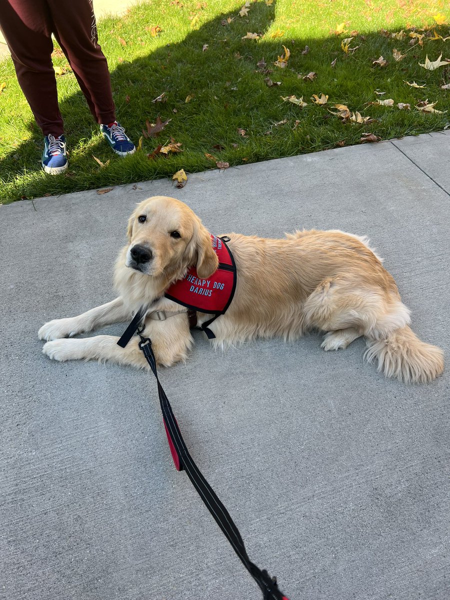 Another great therapy dog visit! This time with @ColoniaHigh. Darius Ruffer had a great time! Thanks to Mr. Pace and Ms. Galvin for having us visit. #therapydogs #bbtd #coloniahigh