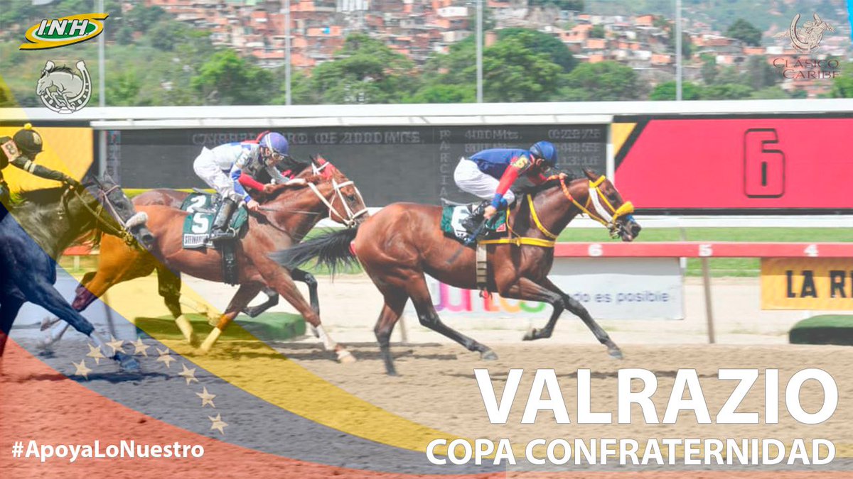 JorgenyMartinez's tweet photo. El veterano #Valrazio estará presente en Copa Confraternidad del Caribe en @camareropr Ganador de 8 en 27 presentaciones con 6 segundos y 2 terceros. @GilbertOsuna @cachazoc https://t.co/D9lnZ7T1CP