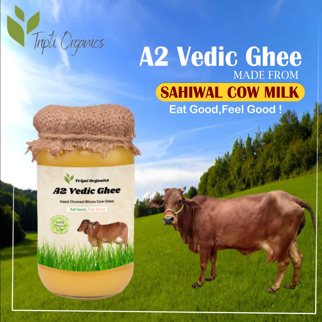 triptiorganics's tweet photo. Desi Cow ghee prepared using Ayurvedic Bilona padati is not less than the nectar of life. It is heart-friendly and good for high cholesterol and heart patients too.

#a2 #a2ghee #vedicghee #organicghee #ghee #gheebenefits #clarifiedbutter #ayurvediclifestyle #ayurveda #gheerice https://t.co/RDM1dgFycP