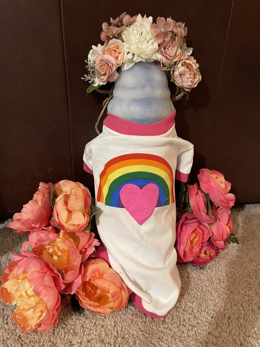 MiracoleBurns's tweet photo. So.. there was this time on #doompatrol S3 that I had to keep Larry’s “little one” at my house overnight. I was told to make sure they where kept safe. 
So of course I sent periodic photos of our evening. 
@MattBomer @MatthewZuk 😂 https://t.co/rWnEHmZGpa