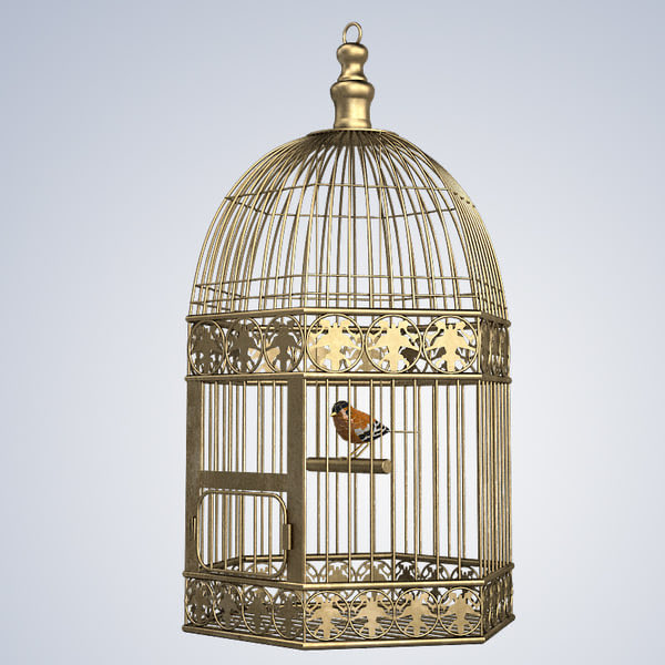 Old bird. «Птичья клетка» («la Cage d’oiseaux»), 1750г. Клетка для птиц в100 33*23*36см. Клетка Golden Cage для птиц 800 (52*41*71,5 см).