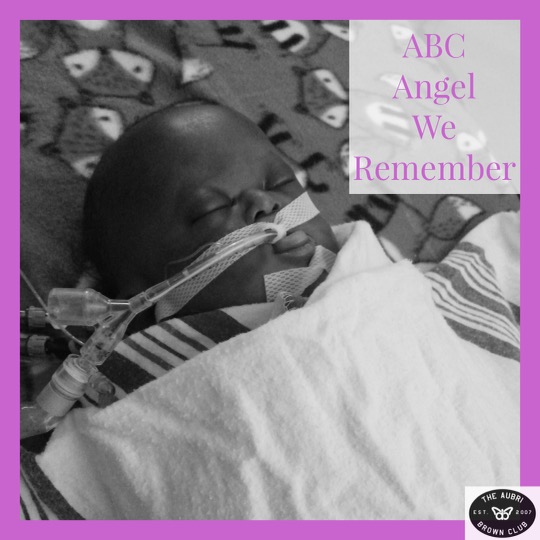 AubriBrownClub's tweet photo. Kalebo Nimbona 🦋
.
5/7/21 - 9/15/21
.
#werememberwednesday https://t.co/HNlDFdIKp6