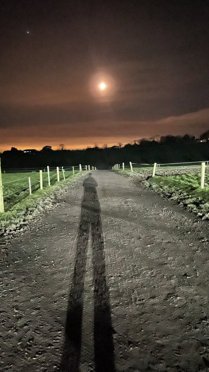 A lovely evening <a href="/riding_stables/">Piperstown Stables 🏇</a> I’ve taken a stretch with the clocks going back …