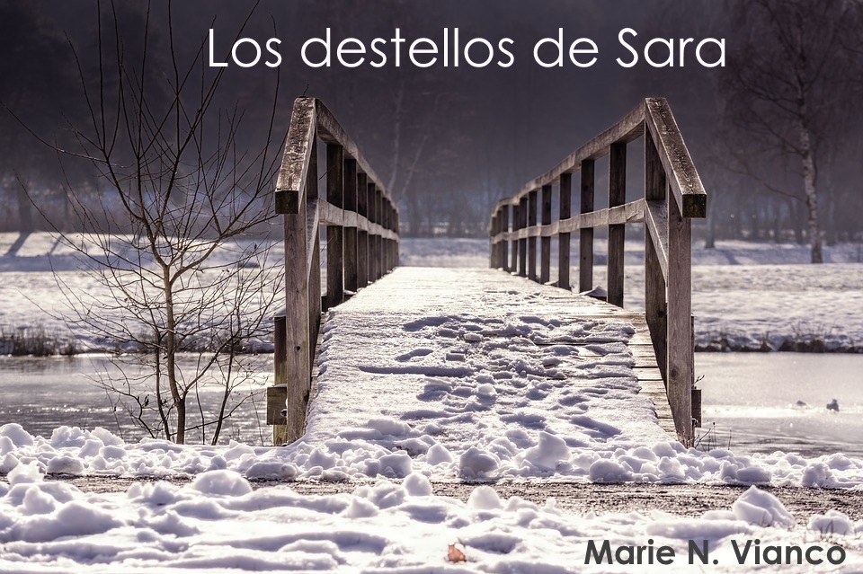 "La noche era sumamente fría, gélida diría yo, el cielo despejado y sereno, una noche tan nítida que parecía hecha por trazos de pureza." 
#LosDestellosDeSara 
#KindleUnlimited
#MarieNVianco 
#libros 
#Leer en bit.ly/DestellosSarac… … 
#Amazon
 mybook.to/LosDestellosDe… …