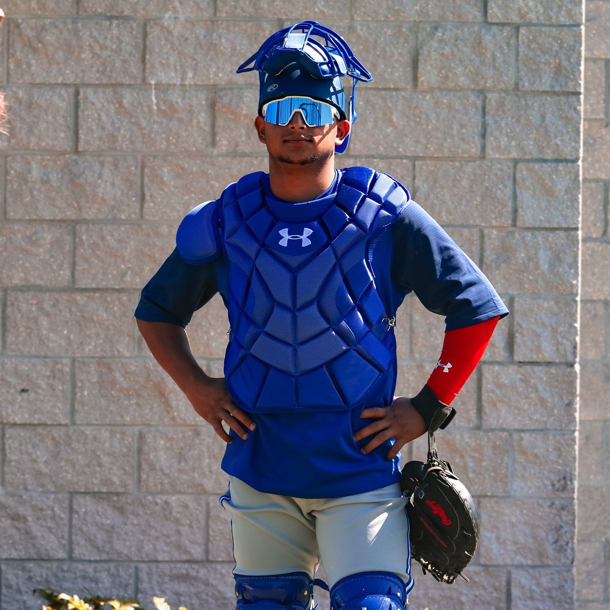 BlueJays's tweet photo. Congrats to our @MLBazFallLeague Fall-Stars 👏 

⭐️ @gabriel_mo13 (.339 AVG, 10 XBH)
⭐️ @SPENCE_b_shakin (.386 AVG, 12 RBI)
⭐️ @graham_spraker (14 Ks, 0.00 ERA)

Watch the game this Saturday at 7pm ET on @MLBNetwork! https://t.co/gfUuueJx1u