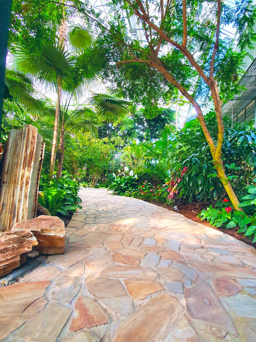 🔹 حديقة قصر بيان :
🔹 تستقبل الزوار كل يوم خميس من الساعة 9 صباحا حتى 1 ظهرا والدخول للمطعمين مع ابراز الهوية

 #VisitKuwait