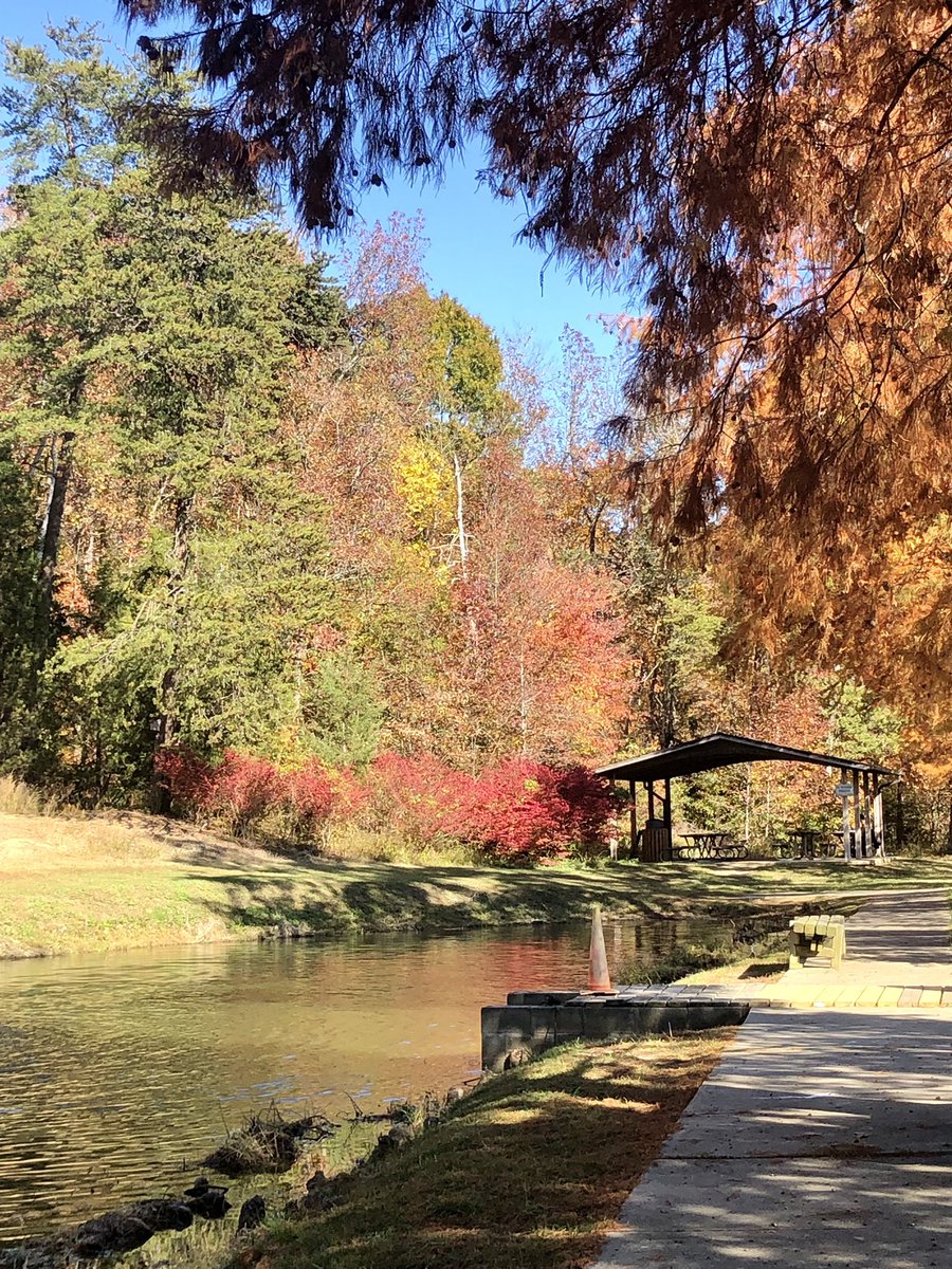 Lake Higgins <a href="/greensborocity/">City of Greensboro</a> <a href="/GSOlakes/">Greensboro Lakes</a> <a href="/gsochamber/">Greensboro Chamber</a>     📸Bernadette Potts