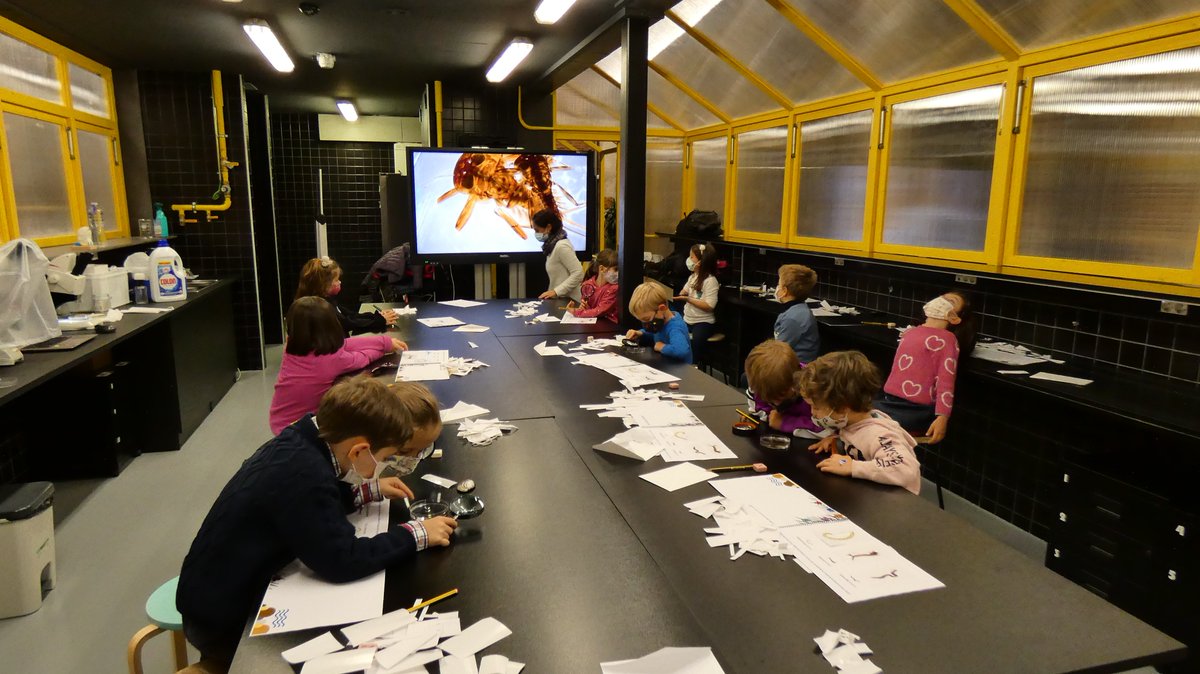 aquacolab's tweet photo. Estupendo taller de #Macroinvertebrados 🐛🦞 y #Ríos 🌊de #Burgos. En la @laestacioncyt aprendimos a conocer los pequeños habitantes durante la #SemanaDeLaCiencia en la @UBUinvestiga y @UBUEstudiantes. Taller impartido por @patriciadelafu9 y @canepaoneto @FECYT_Ciencia 🧵 hay más https://t.co/NLq79exCb9