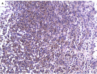 Urology Case Reports tweet media