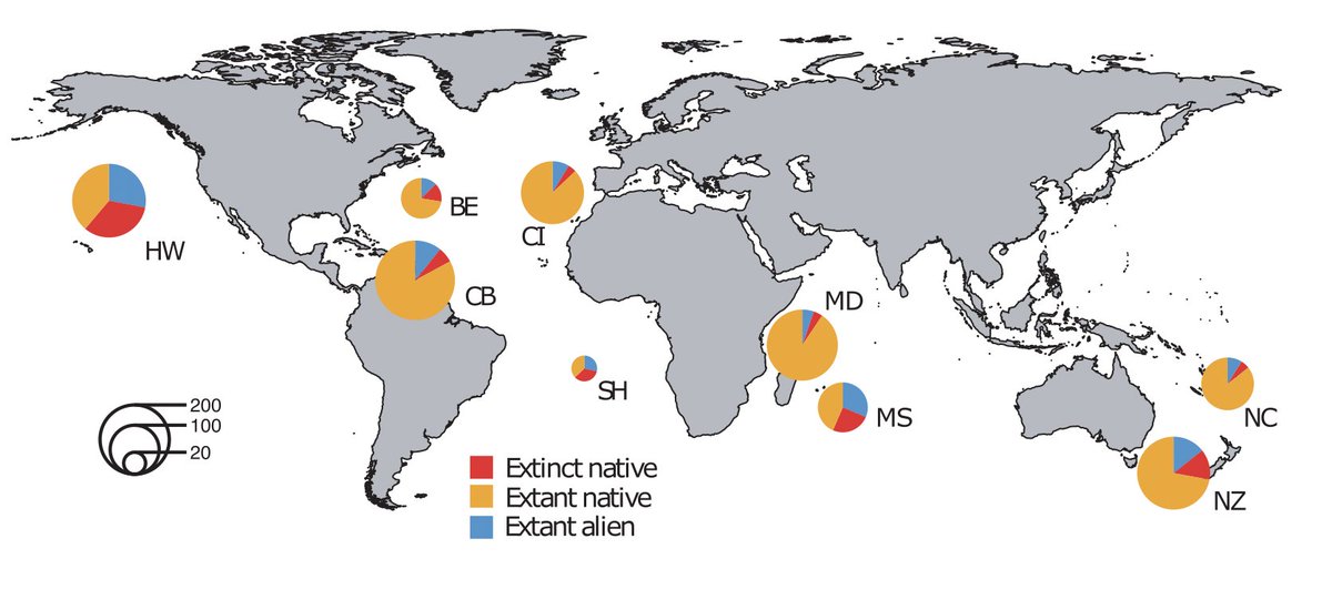 FerranSayol's tweet photo. I’m very happy to share a new study we published today in @ScienceAdvances. In this paper we found that human-caused bird extinctions are driving losses of functional diversity on islands worldwide, and the gaps they leave behind are not being filled by introduced species. https://t.co/7CA1QC3vFV