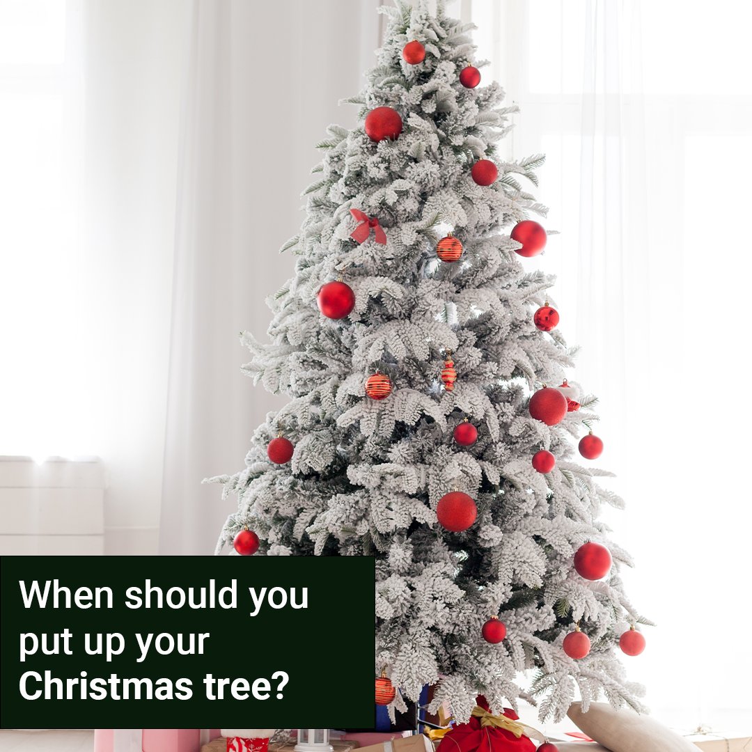millertandc's tweet photo. The suggestion that your Christmas tree should be put up as early as November 1st to some people is ridiculous.

Luckily, House Beautiful have taken on the task of explaining when you should put up your Christmas tree.

Want to know more? Click here: https://t.co/rYQf2zovli https://t.co/UaTb5Tht3C