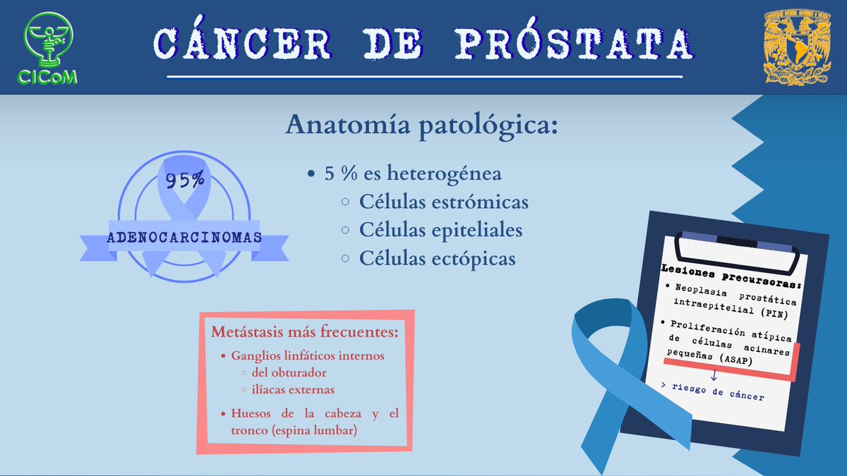 CICoMedicine's tweet photo. El cáncer de próstata es la principal causa de morbilidad y mortalidad en hombres relacionadas con el cáncer en el país. Aprox. 80% de los pacientes al momento del diagnóstico son clasificados como avanzados y tienen un mal pronóstico.

#CICOM #medicalschool #medstudent #Cancer https://t.co/2e3oXukbZH