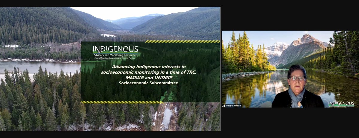iamc_tmx's tweet photo. Tracy Friedel, Chair of the Socioeconomic Subcommittee updated the communities on advancing Indigenous interests in socioeconomic monitoring in a time of TRC, MMIWG and UNDRIP. #LineWideGathering2021 #IAMC_TMX https://t.co/l8KJmmzUGL
