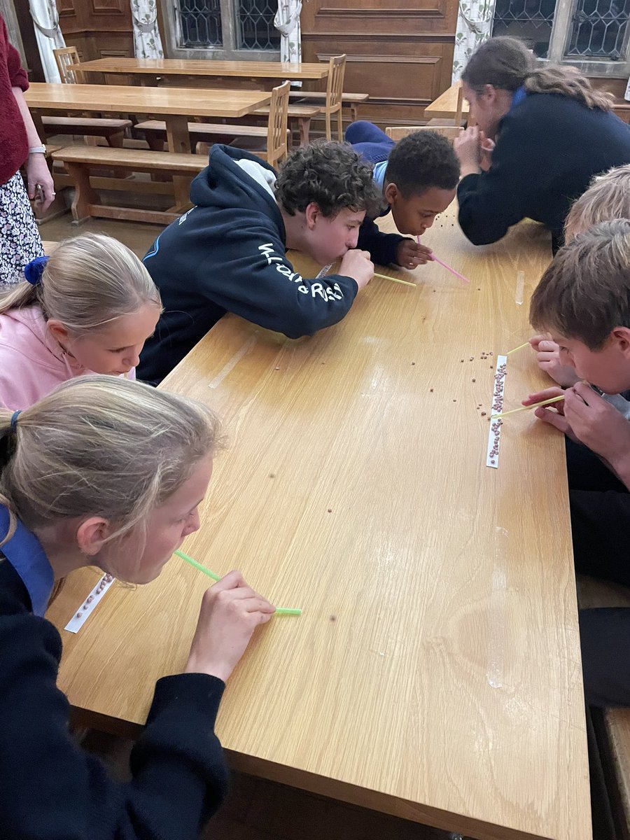 CheamBoarding's tweet photo. It’s time for the Millions Race and then finally Rice Krispies Chop Sticks! @CheamSchool #AMinuteToWinIT https://t.co/EjAJ6DkK4i