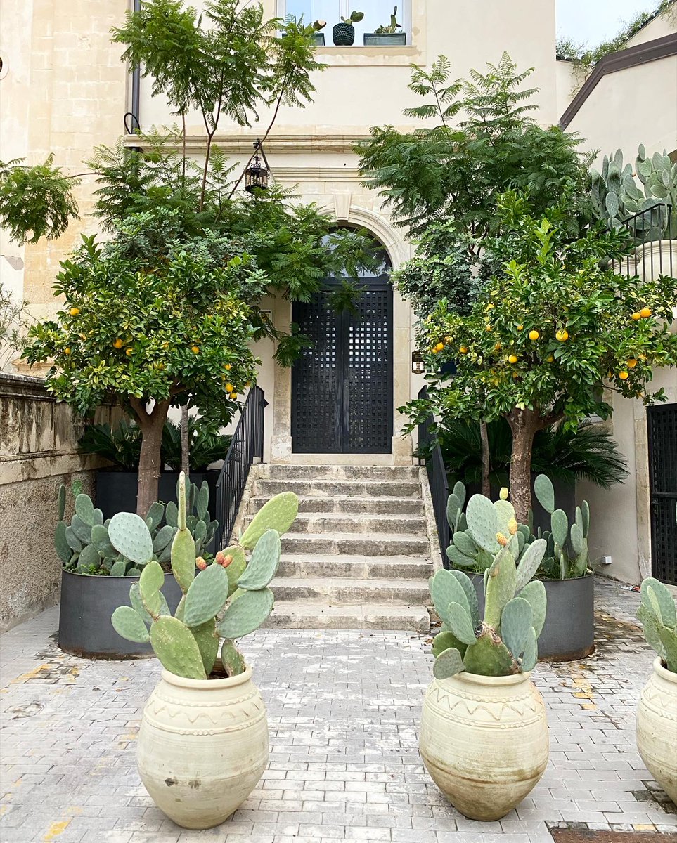 Michaela Dvorak ✨ tweet media