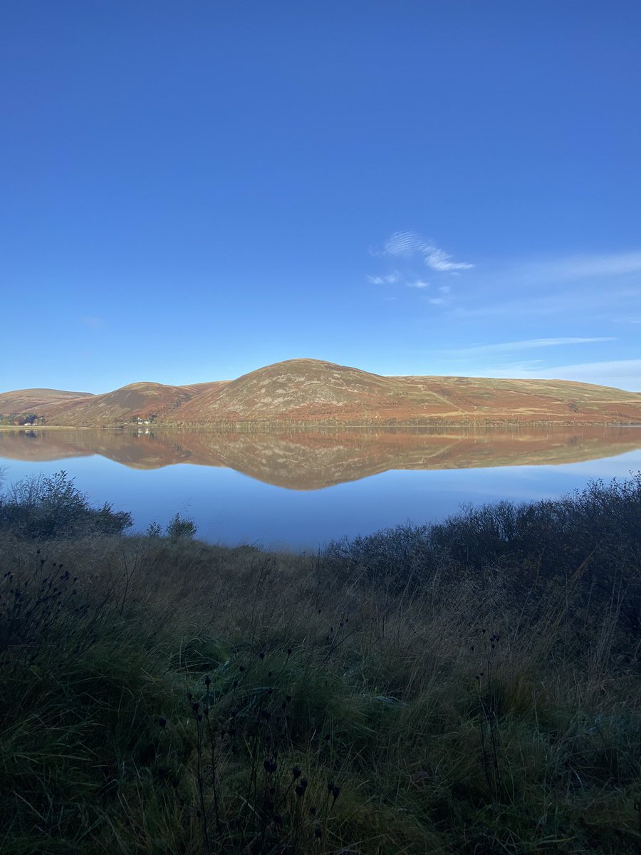 h_e_martin's tweet photo. This month, the Trevelyan College wellbeing activity is ‘to spend some time in nature’. I’ve certainly done just that over the last few days while on holiday exploring the #ScottishBorders and it’s been a great way to relax 🏴󠁧󠁢󠁳󠁣󠁴󠁿 🥾🌲🐶 #TrevsWellbeing #Hiking @Trevscol https://t.co/E9NIdkgaA6