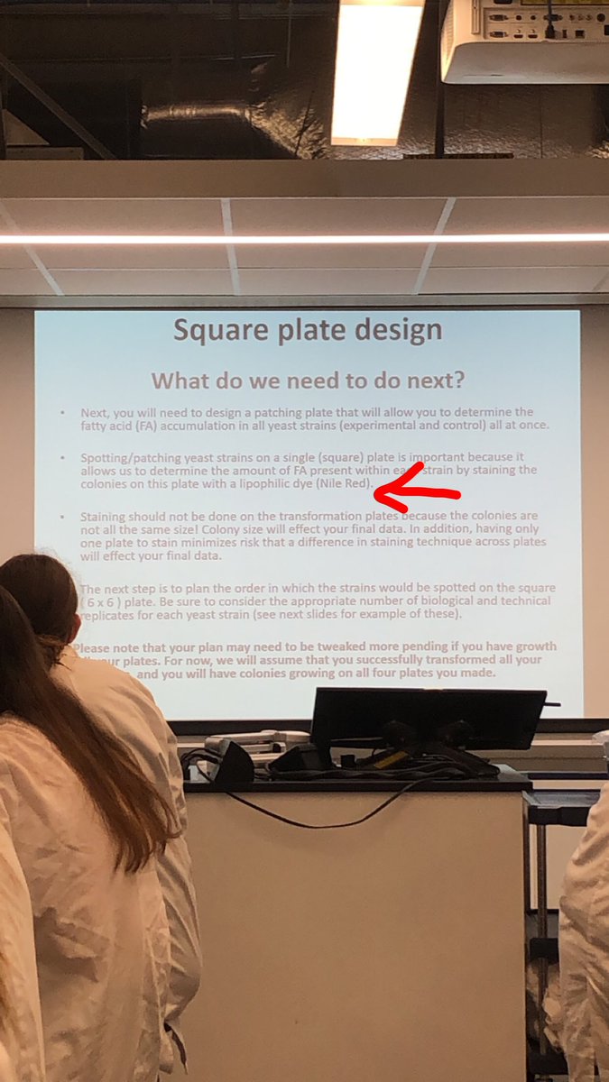 Thomas Bonus tweet media