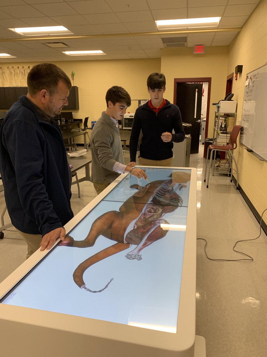 Amy Irwin tweet media