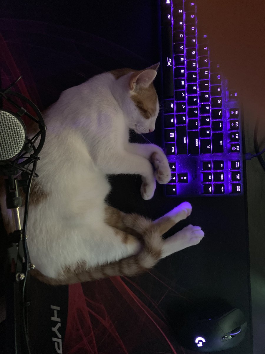 DarthMule_'s tweet photo. @Mortdog Have some mor(t)e https://t.co/uL4K8BUIZt