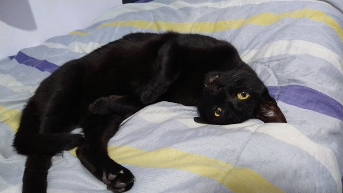 Danielito ! https://t.co/ZfdhHRVtzU<a href="/tag/atomicheart"class="tags"><span>#atomicheart</span></a>