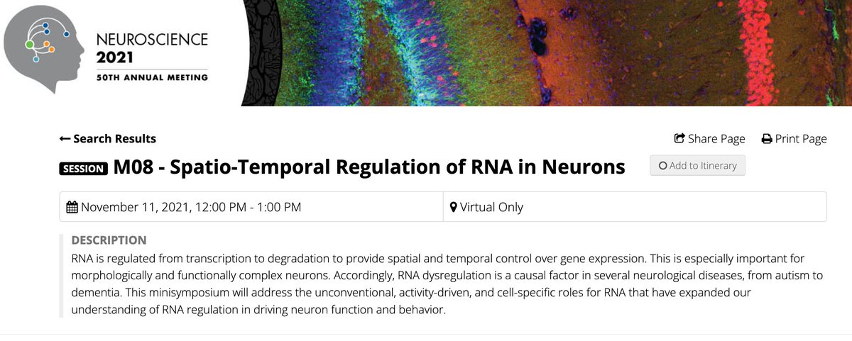 Join us tomorrow for our #SfN21 minisym Q&A on RNA regulation in neurons at 1pm. The speaker line up is 🔥 @brendabl00dg00d @guo_lab @RamenNSaha @angalus_d @pedro_miura @ar888 @SfN_Events @SfNtweets abstractsonline.com/pp8/#!/10485/s…