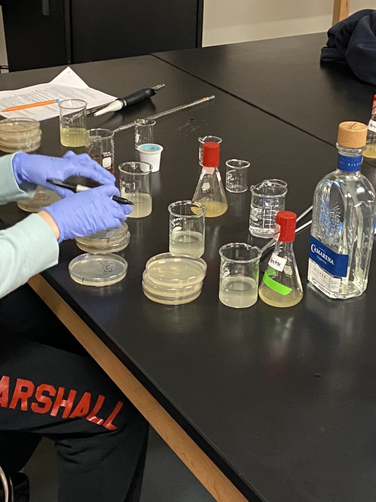 KeithPiccard's tweet photo. I am really anxious to see what these students’ results will be.  They are testing to see what the average liquid diet (coffee, liquor, energy drinks, etc) of a college student does to the bacteria guy floral diversity.  #InquiryBasedScience @BiologyGvsu https://t.co/HxnLWpgM8L