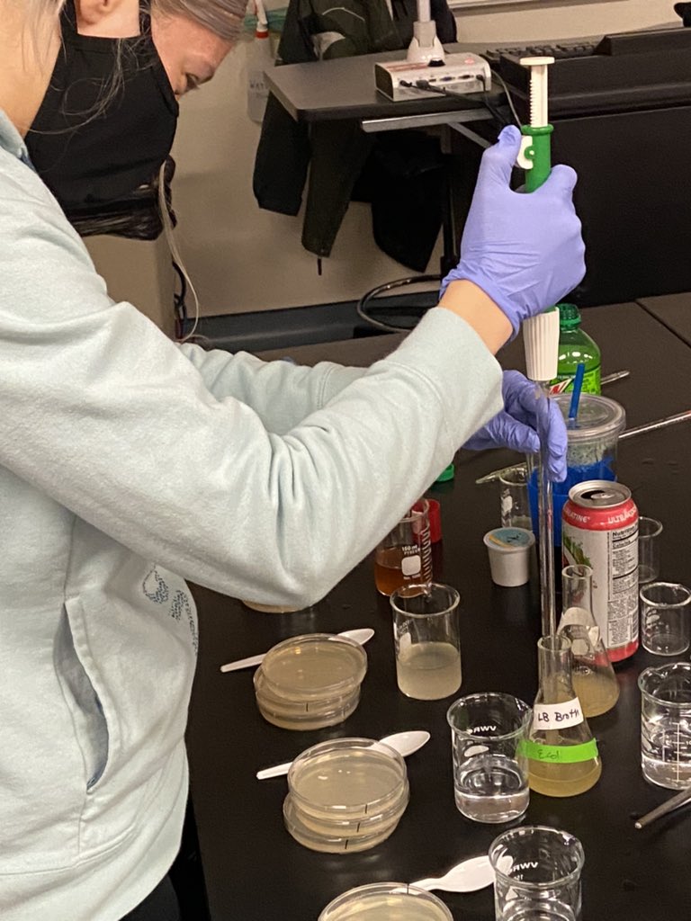KeithPiccard's tweet photo. I am really anxious to see what these students’ results will be.  They are testing to see what the average liquid diet (coffee, liquor, energy drinks, etc) of a college student does to the bacteria guy floral diversity.  #InquiryBasedScience @BiologyGvsu https://t.co/HxnLWpgM8L