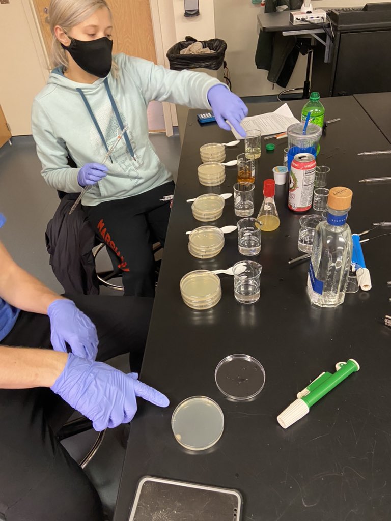 KeithPiccard's tweet photo. I am really anxious to see what these students’ results will be.  They are testing to see what the average liquid diet (coffee, liquor, energy drinks, etc) of a college student does to the bacteria guy floral diversity.  #InquiryBasedScience @BiologyGvsu https://t.co/HxnLWpgM8L