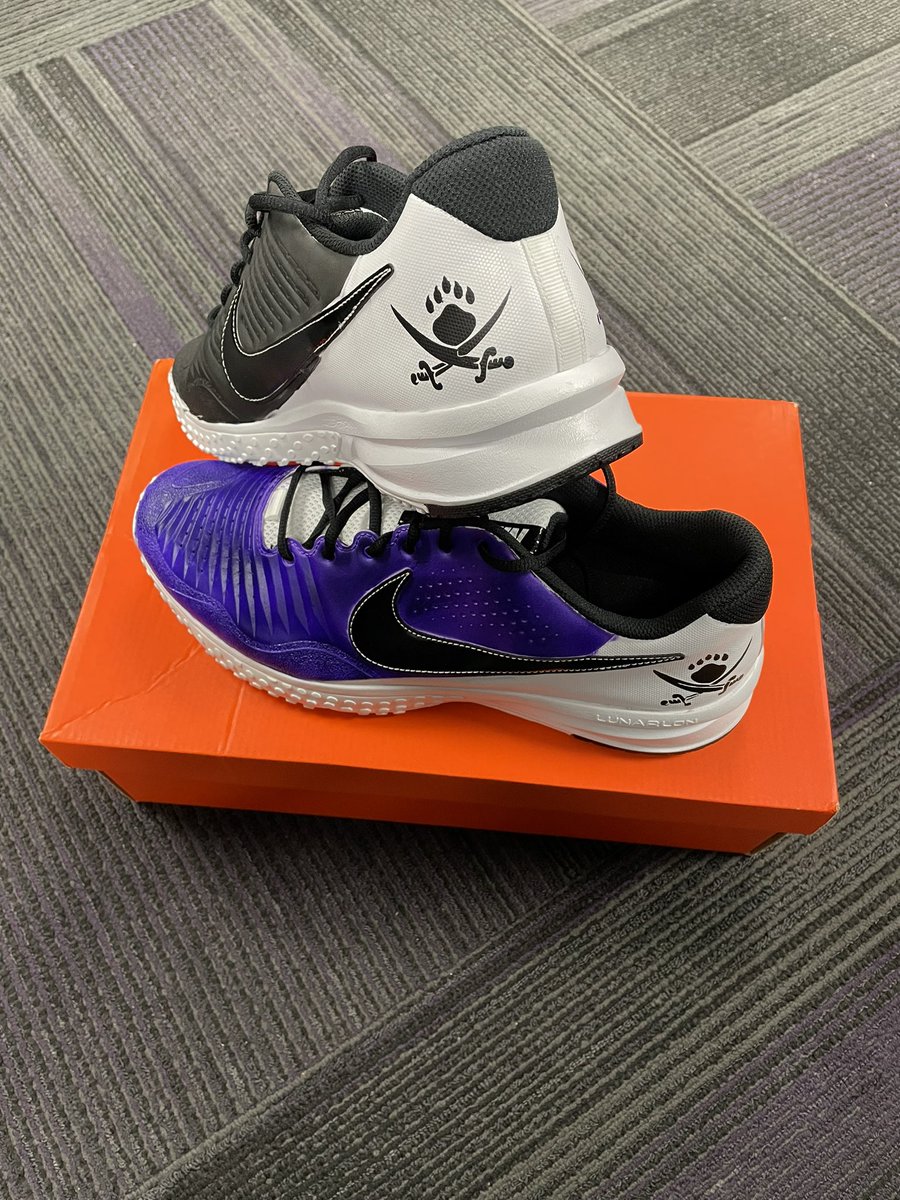 Maris_Blanch's tweet photo. Give no quarter! These bad boys will be firing all the cannons come spring time! 🏴☠️ #PartOfTheShip https://t.co/O4yVOQnY4D