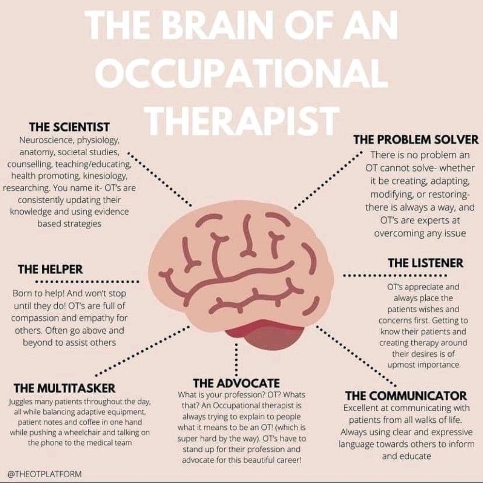 TOenlared's tweet photo. Como es el cerebro de un terapeuta ocupacional. Por @theotplatform (buscad en Instagram, aquí no están) https://t.co/KYyIB9X8rO
